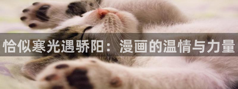 paradox虫虫漫画第一季：恰似寒光遇骄阳：漫画的温情与力量