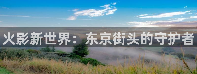 虫虫漫画富家女姐姐在线观看：火影新世界：东京街头的守护者