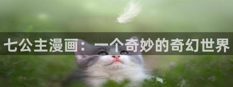 末班车虫虫漫画：七公主漫画：一个奇妙的奇幻世界